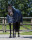 Stalldecke Start 300gr Dunkelblau 165/125cm
