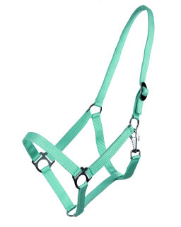 Halfter mit Schiebeschnalle Turquoise Mini Shetty
