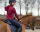 Sattel jewel Brittany Schwarz/kobaltblau Pony