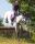 Eventing gamaschen hinterbein technical Navy M