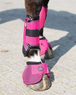 Eventing Gamaschen vorderbein technical Fuchsia XL