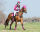 Eventing Gamaschen vorderbein technical Fuchsia XL