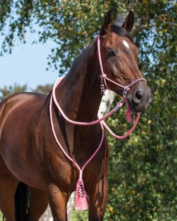 Knotenhalfter kombi Liberty Flamingo-Pink Extra Full