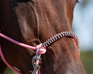 Knotenhalfter kombi Liberty Flamingo-Pink Extra Full