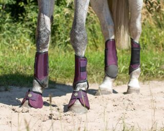 Eventing gamaschen hinterbein technical Orange L