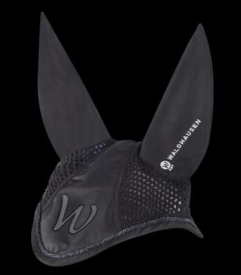 Fliegenohren Barcelona