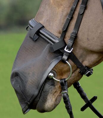 Fliegennasenschutz, Pony, schwarz