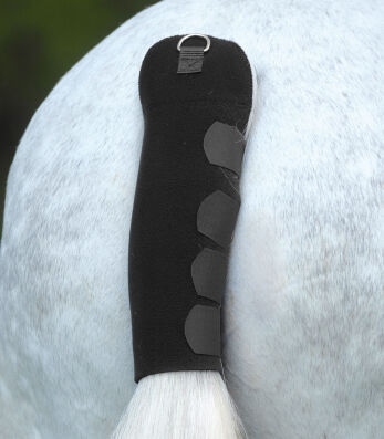 Schweifschoner, schwarz