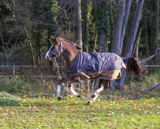 EQUITHÈME TYREX 600D „Aisance“ Decke