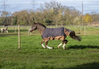 EQUITHÈME TYREX 600D „Aisance“ Decke