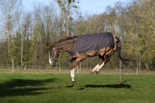 EQUITHÈME TYREX 600D „Aisance“ Decke