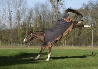EQUITHÈME TYREX 600D „Aisance“ Decke