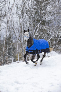 EQUITHÈME TYREX 1200D, Aisance High Neck Decke, Blau-Schwarz, 150 gr./165 cm