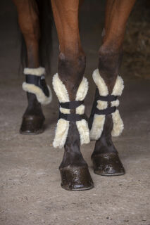 XTR NORT.GAMASCH.SYNT.Pony.BRAUN