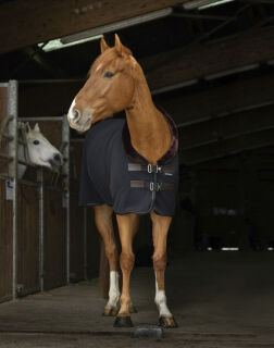 EQUITHÈME „Teddy" Polar Fleece Decke,...