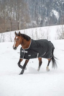 Bucas Anniversary Turnout Light 50 SF 155 cm