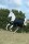 Bucas Anniversary Turnout Light 50 SF 155 cm