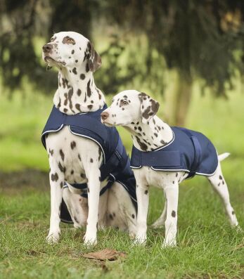 Regen-Hundedecke