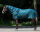 Fliegendecke Combo Collection mit Hals