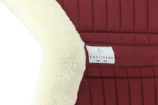EQUITHÈME Teddy Schabracke
