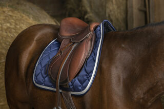 EQUITHÈME Bright Schabracke