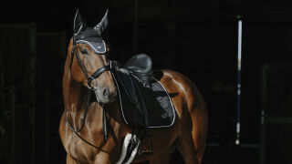 EQUITHÈME French Touch Schabracke