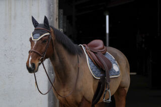 EQUITHÈME Denim Schabrake
