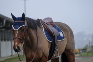 EQUITHÈME Denim Schabrake