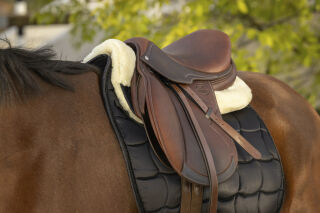 EQUITHÈME Teddy Pad