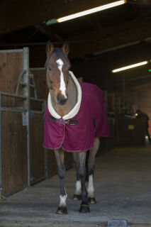 EQUITHÈMETeddy Abschwitzdecke